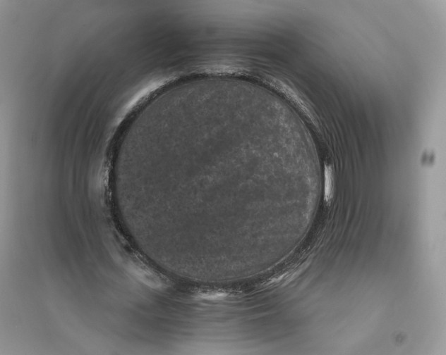 X0000094440723200711291635