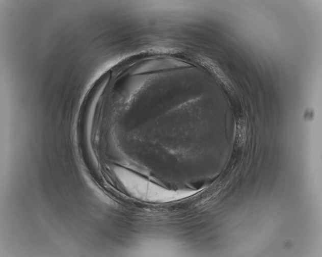 X0000094440726200711291635