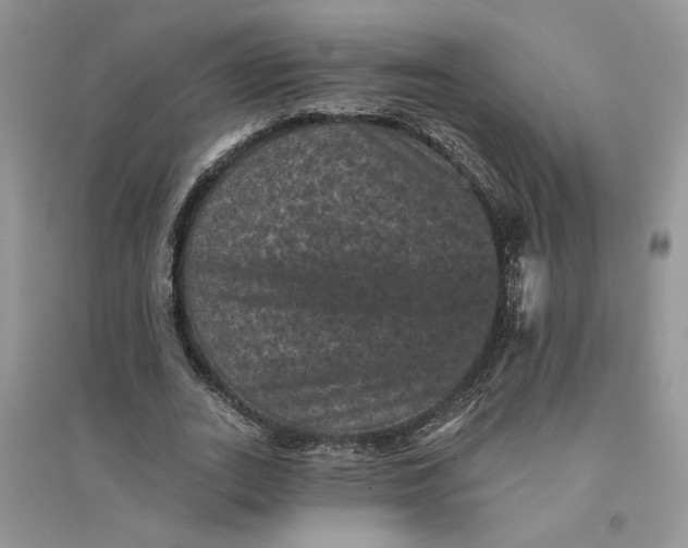 X0000094440727200711291635