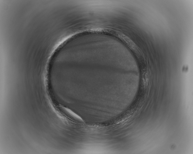 X0000094440728200711291635