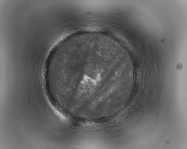 X0000094440730200711291635