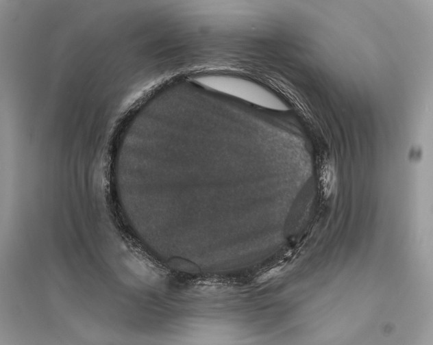 X0000094440732200711291635