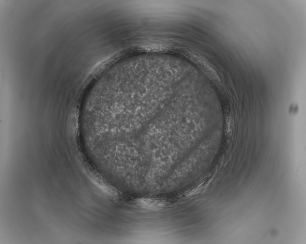 X0000094440733200711291635