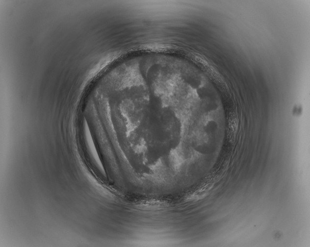 X0000094440734200711291635