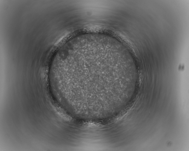 X0000094440737200711291635