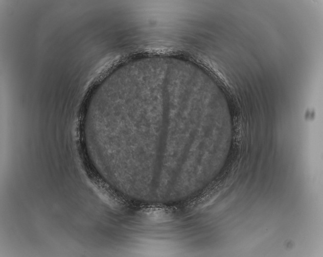 X0000094440738200711291635