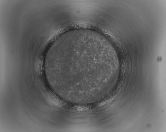 X0000094440739200711291635