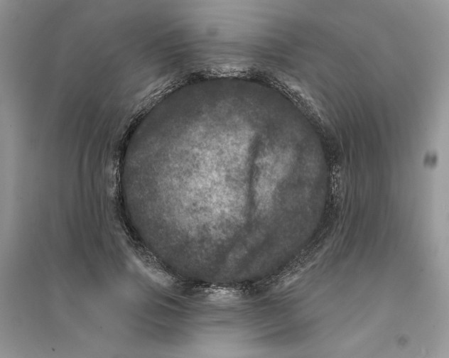 X0000094440741200711291635