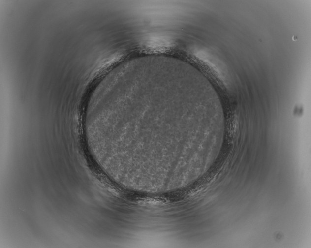 X0000094440743200711291635