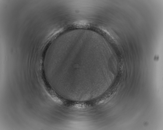 X0000094440744200711291635