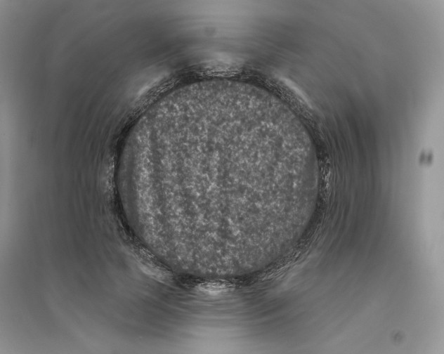 X0000094440745200711291635