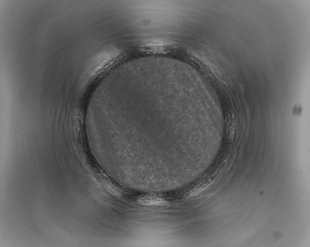 X0000094440747200711291635