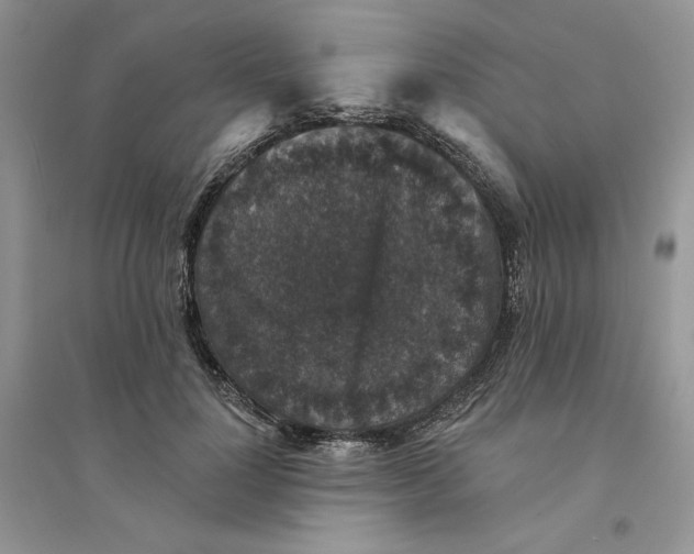 X0000094440748200711291635