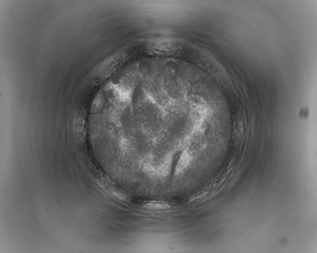 X0000094440749200711291635