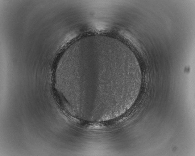 X0000094440750200711291635