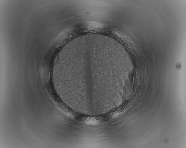 X0000094440751200711291635