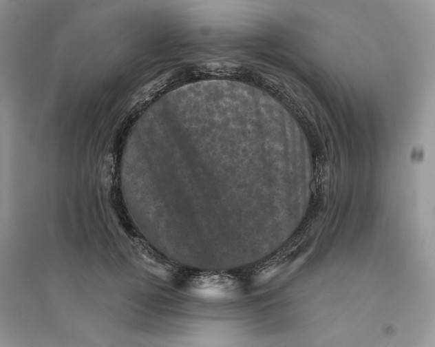 X0000094440752200711291635