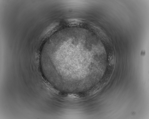 X0000094440753200711291635