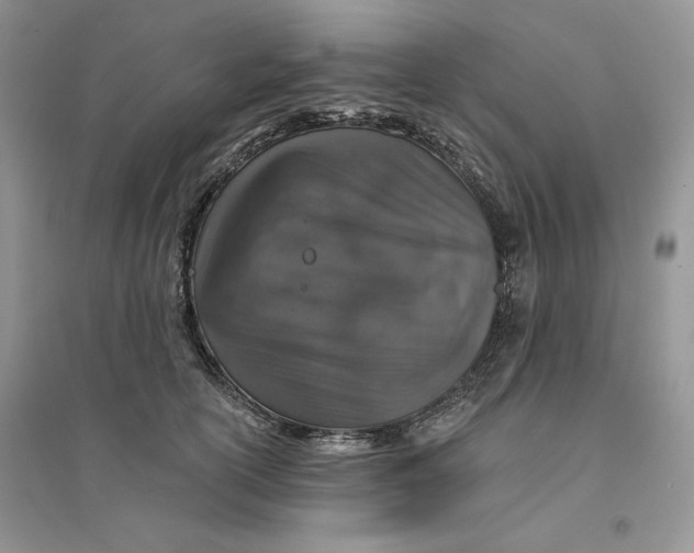 X0000094440754200711291635