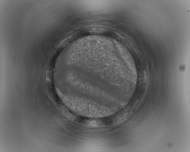 X0000094440755200711291635