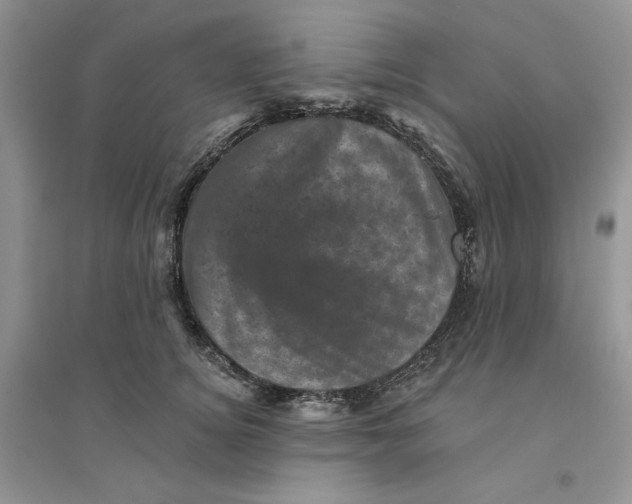 X0000094440756200711291635