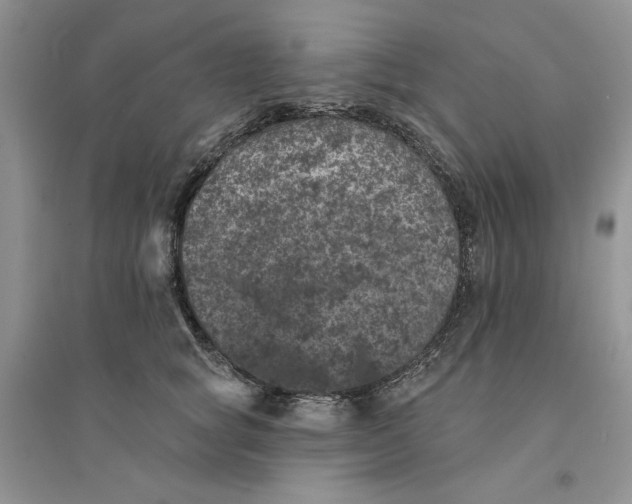 X0000094440757200711291635