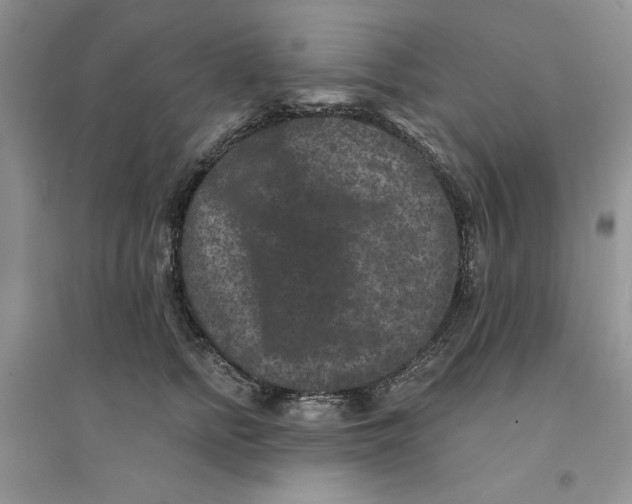 X0000094440758200711291635