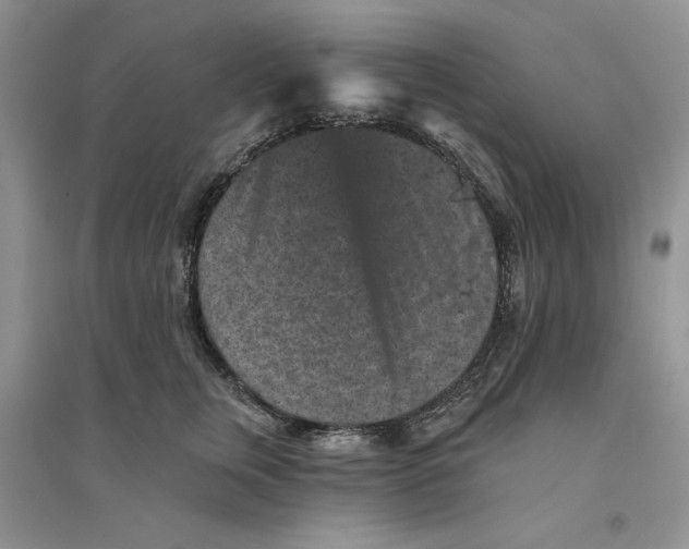 X0000094440759200711291635