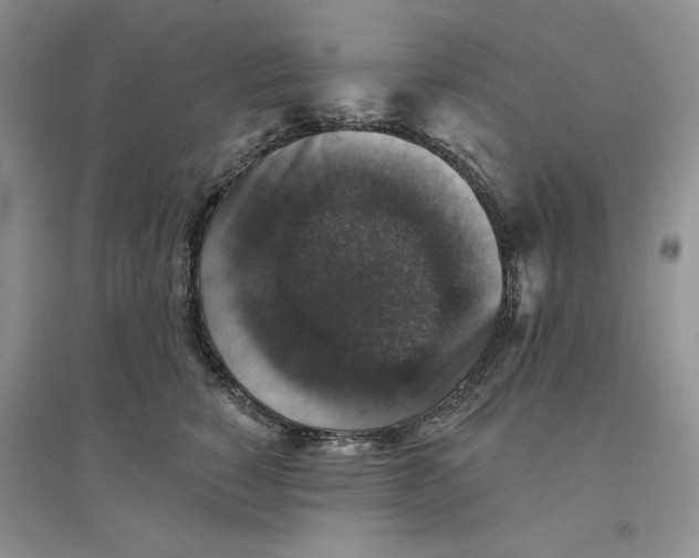 X0000094440760200711291635