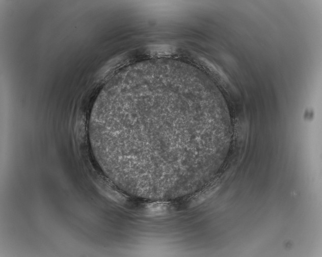 X0000094440761200711291635