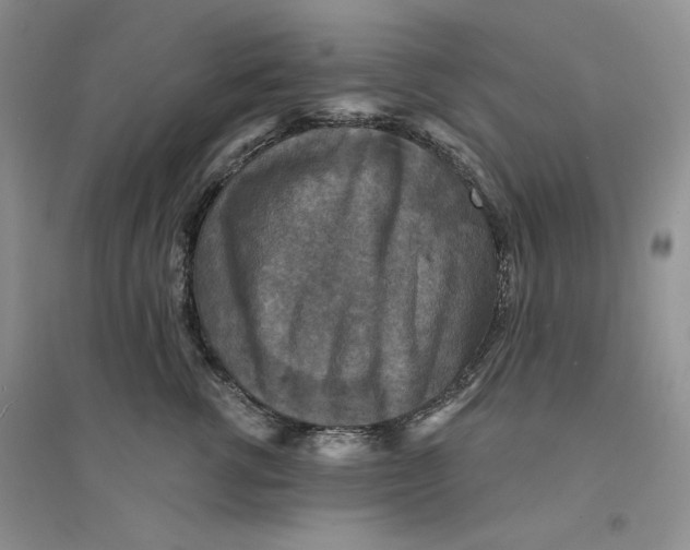 X0000094440762200711291635