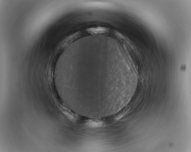 X0000094440763200711291635