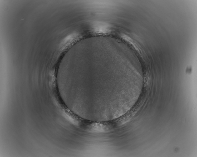 X0000094440764200711291635