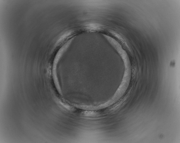 X0000094440766200711291635