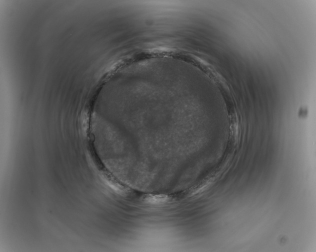 X0000094440767200711291635