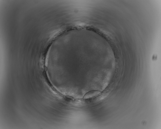 X0000094440768200711291635