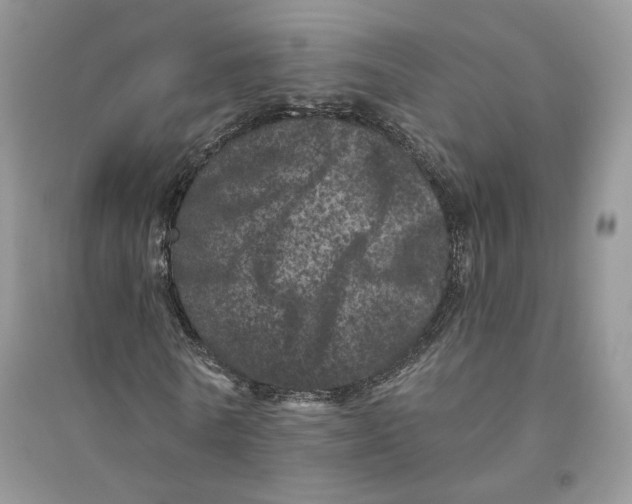 X0000094440770200711291635