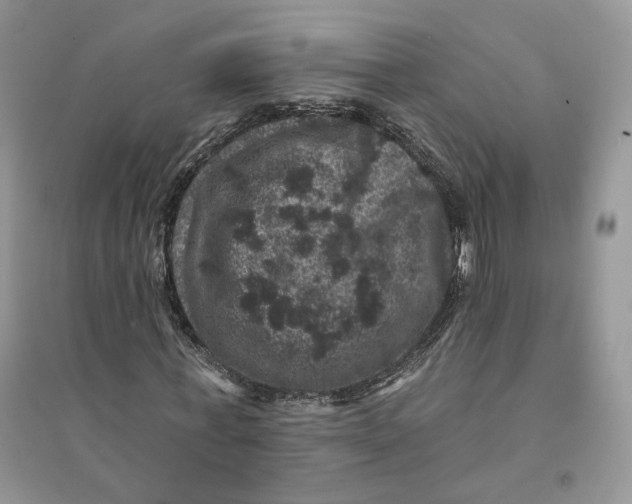 X0000094440771200711291635