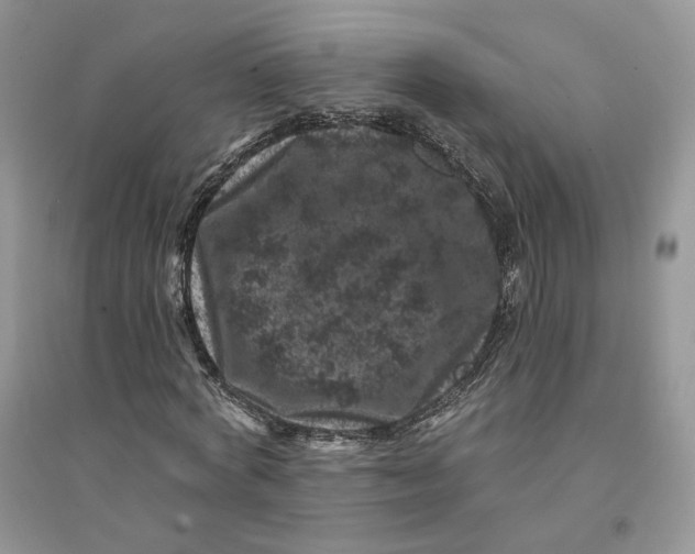 X0000094440772200711291635