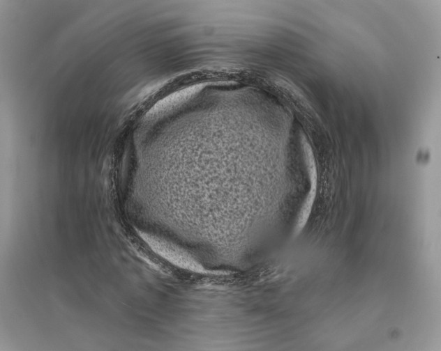 X0000094440773200711291635