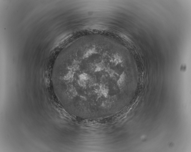 X0000094440774200711291635