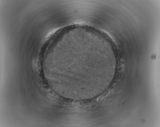 X0000094440776200711291635