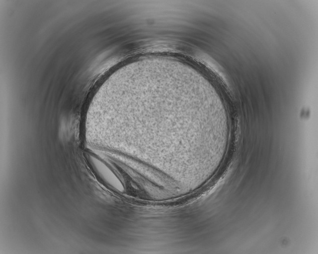 X0000094440777200711291635