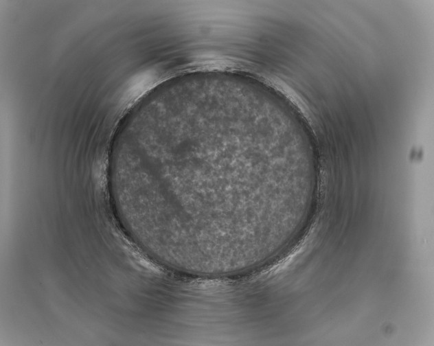 X0000094440778200711291635