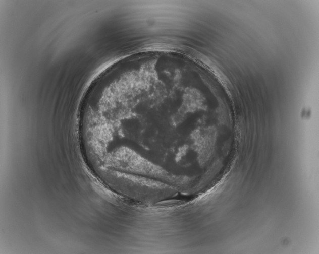 X0000094440779200711291635