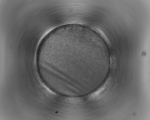 X0000094440780200711291635