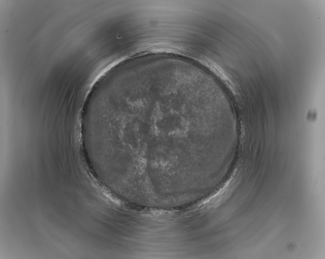 X0000094440782200711291635