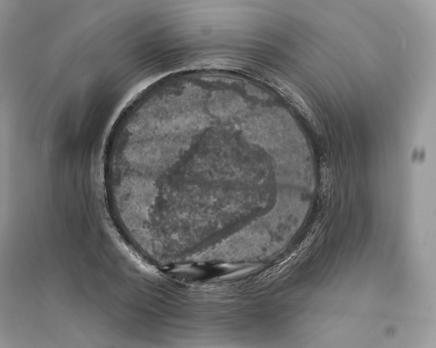 X0000094440784200711291635