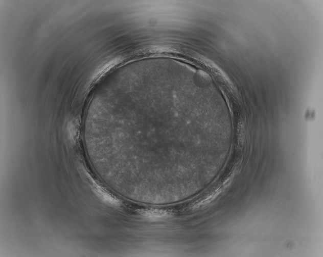 X0000094440785200711291635