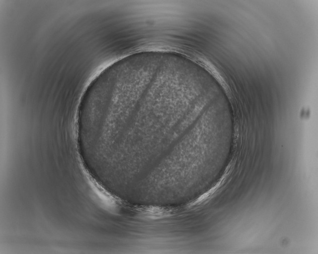 X0000094440787200711291635